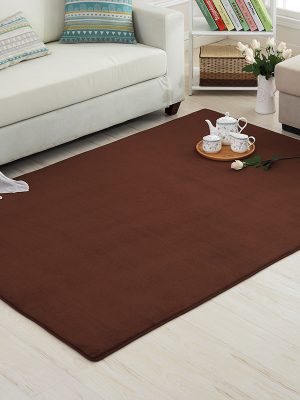 Thickened Solid Colour Pattern Coral Pile Carpet (Coffee)