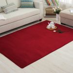 Thickened Solid Colour Pattern Coral Pile Carpet (Burgundy)